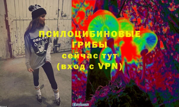 сатива Зеленодольск