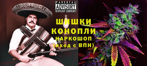 индика Зерноград
