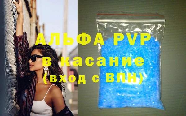 индика Зерноград