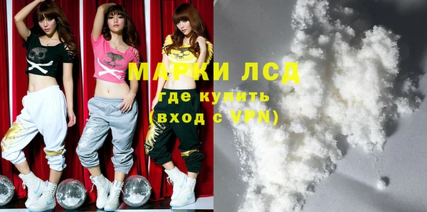 индика Зерноград