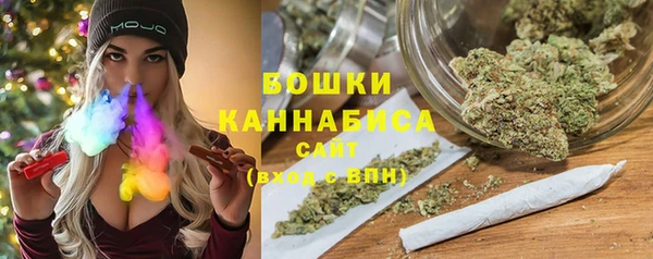 индика Зерноград
