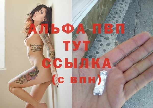 индика Зерноград