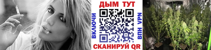 Купить закладки  Карпинск  Канабис гибрид 